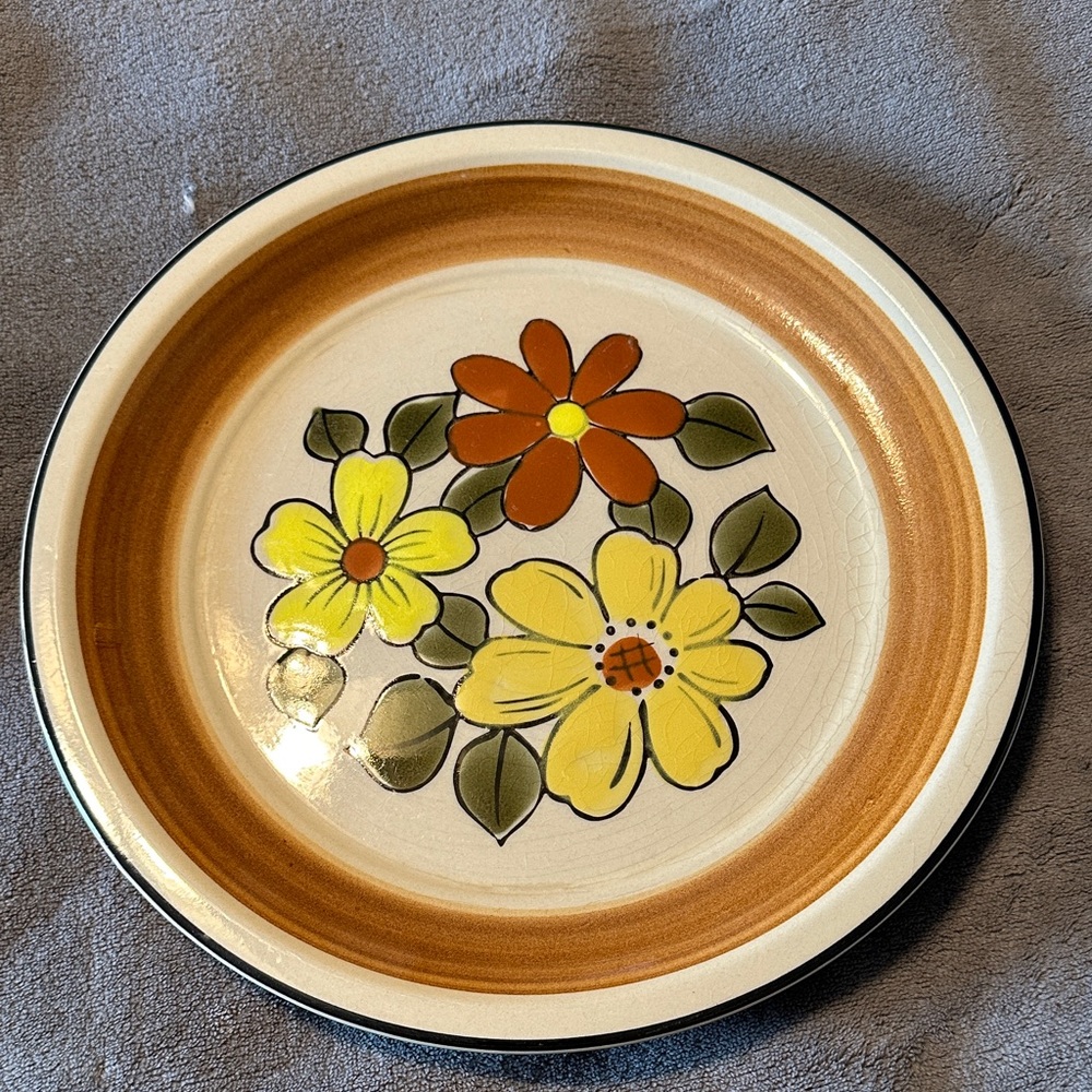 Set of 2 Vintage JC Penney Daisy Vale Stoneware Plates